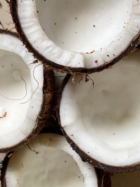 DIY Hair Care: How to Make an Avocado and Coconut Oil Hair Mask