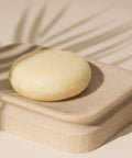 shampoo bar on soap holder